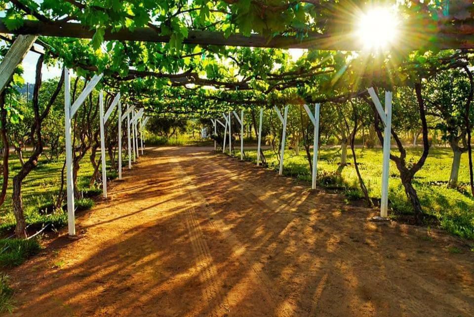 Villa Corsua 장크트 고아르스하우젠 외부 사진